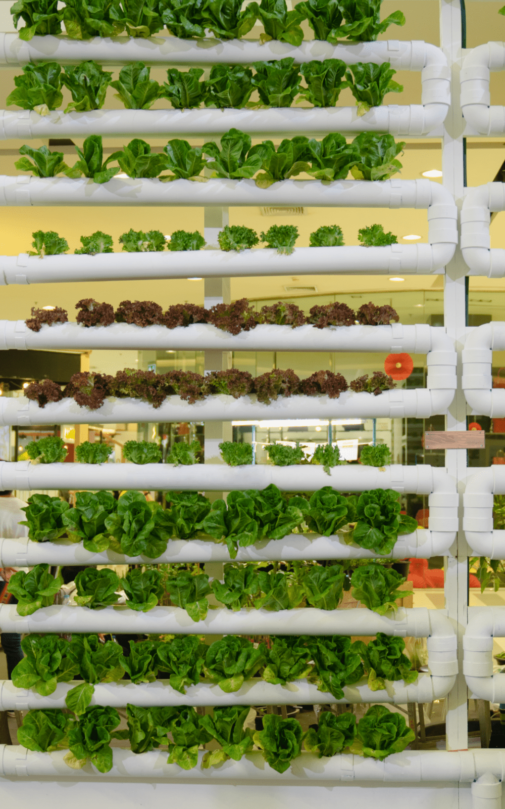 Vertical farming