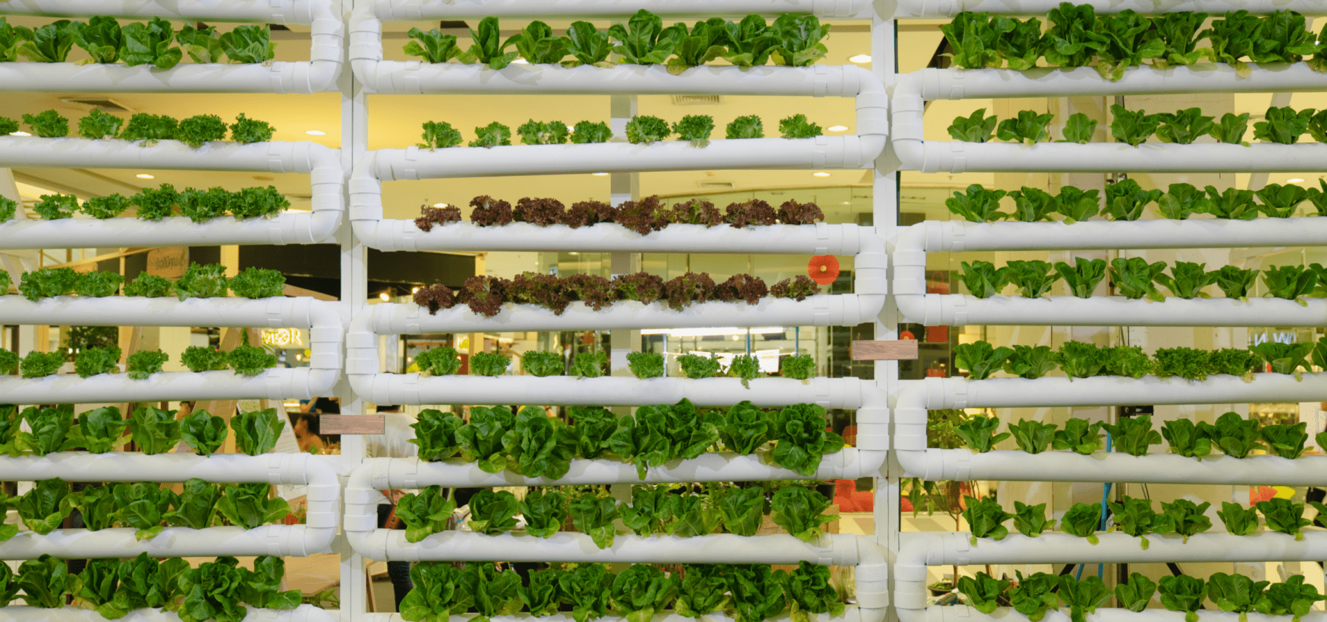 Vertical farming