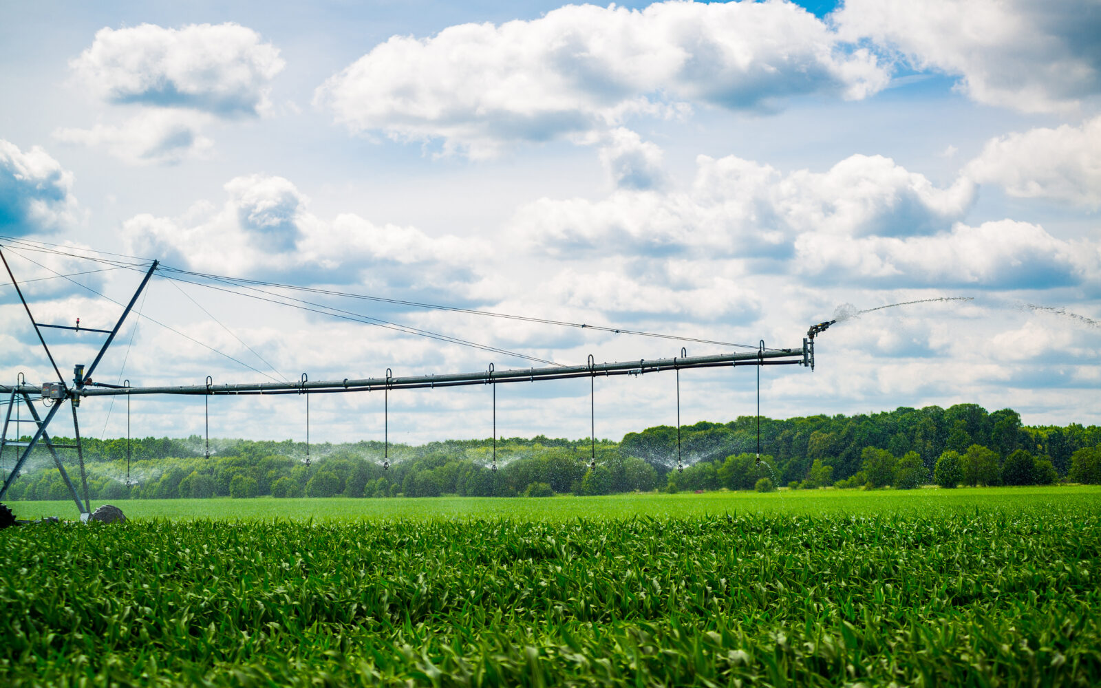 Agri-food tech start-ups